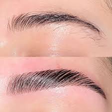 Eyebrow Lamination Course 